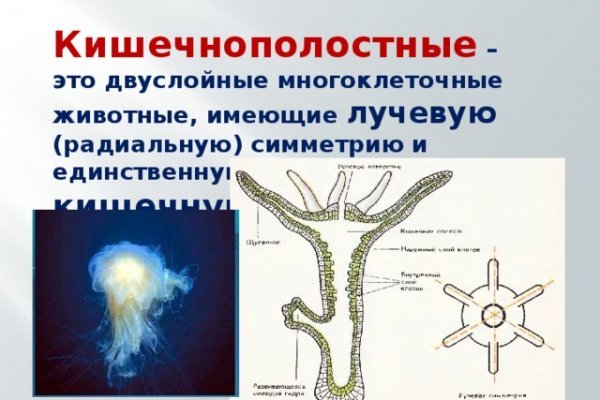 Вход в кракен чтобы купить меф