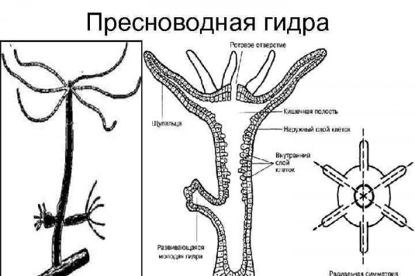 Кракен ссылка москва